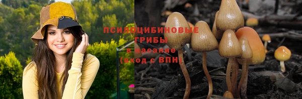 гидра Алексеевка