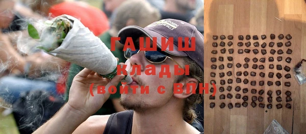 гидра Алексеевка